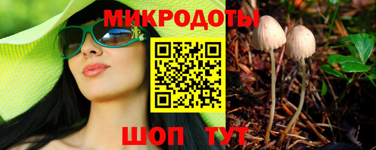 наркотики  Галлюциногенные грибы Psilocybine cubensis  Вход с VPN  Тайшет 